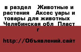  в раздел : Животные и растения » Аксесcуары и товары для животных . Челябинская обл.,Пласт г.